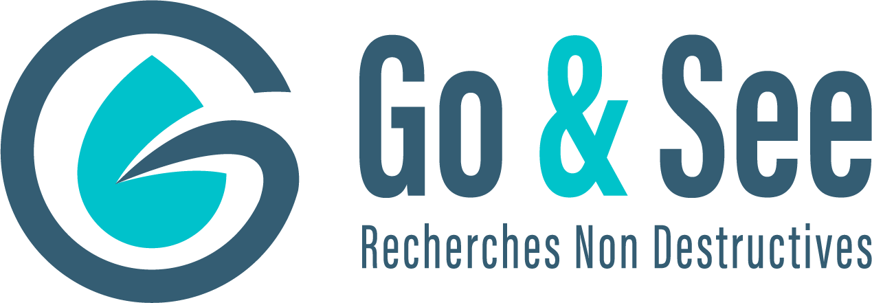 Logo Go & See
